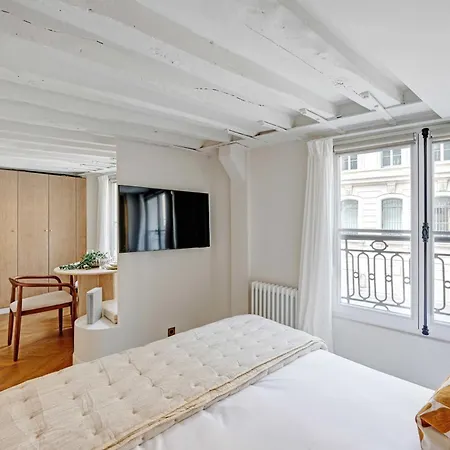 Magnificent - 2p- Musee Du Louvre Paříž